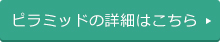 ピラミッドの詳細はこちら